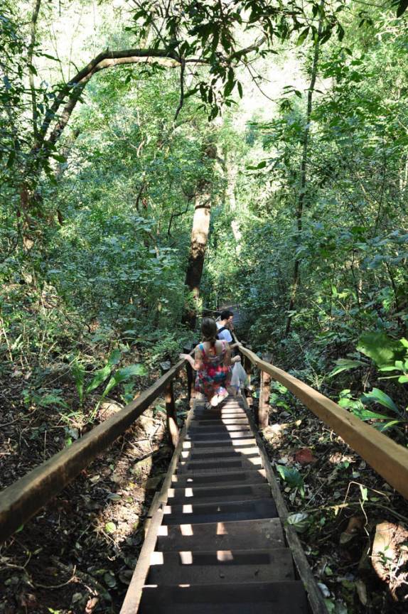 Caminho para a Lagoa Misteriosa, em Bonito, no Mato Grosso do Sul